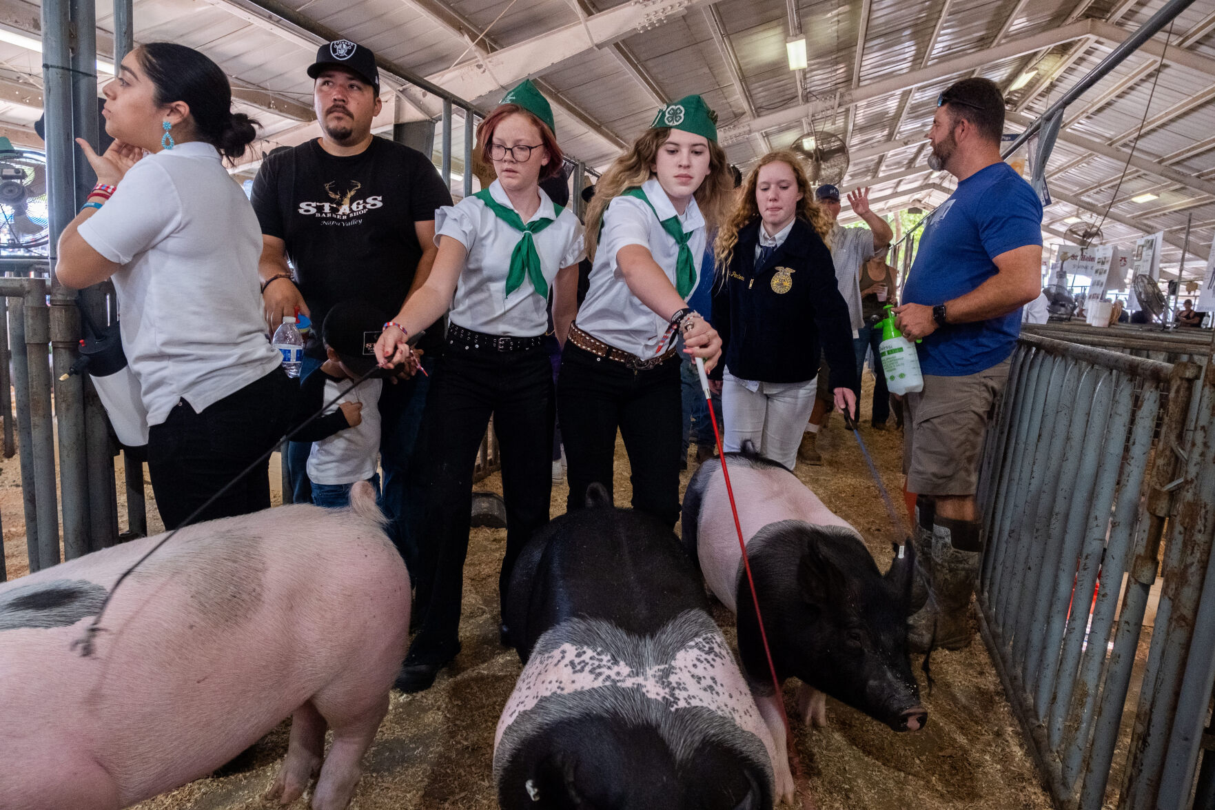 4-H at the Fair